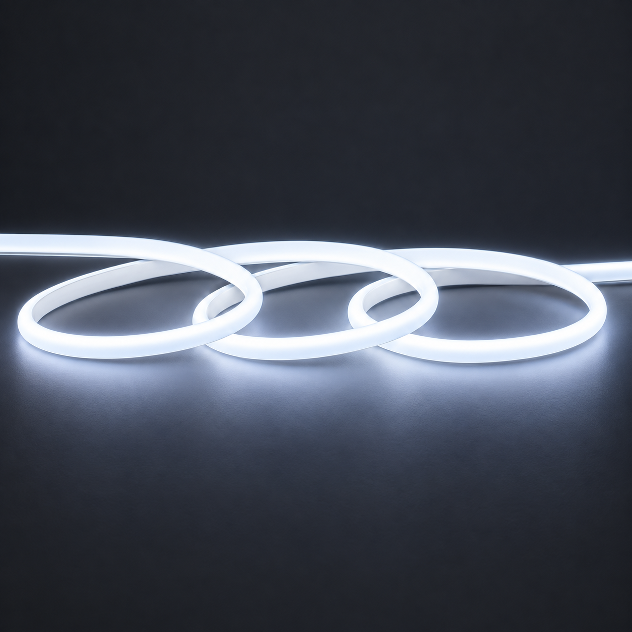 24V D-Shape Neon LED – 13×7,5 mm